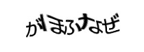 Authentication image